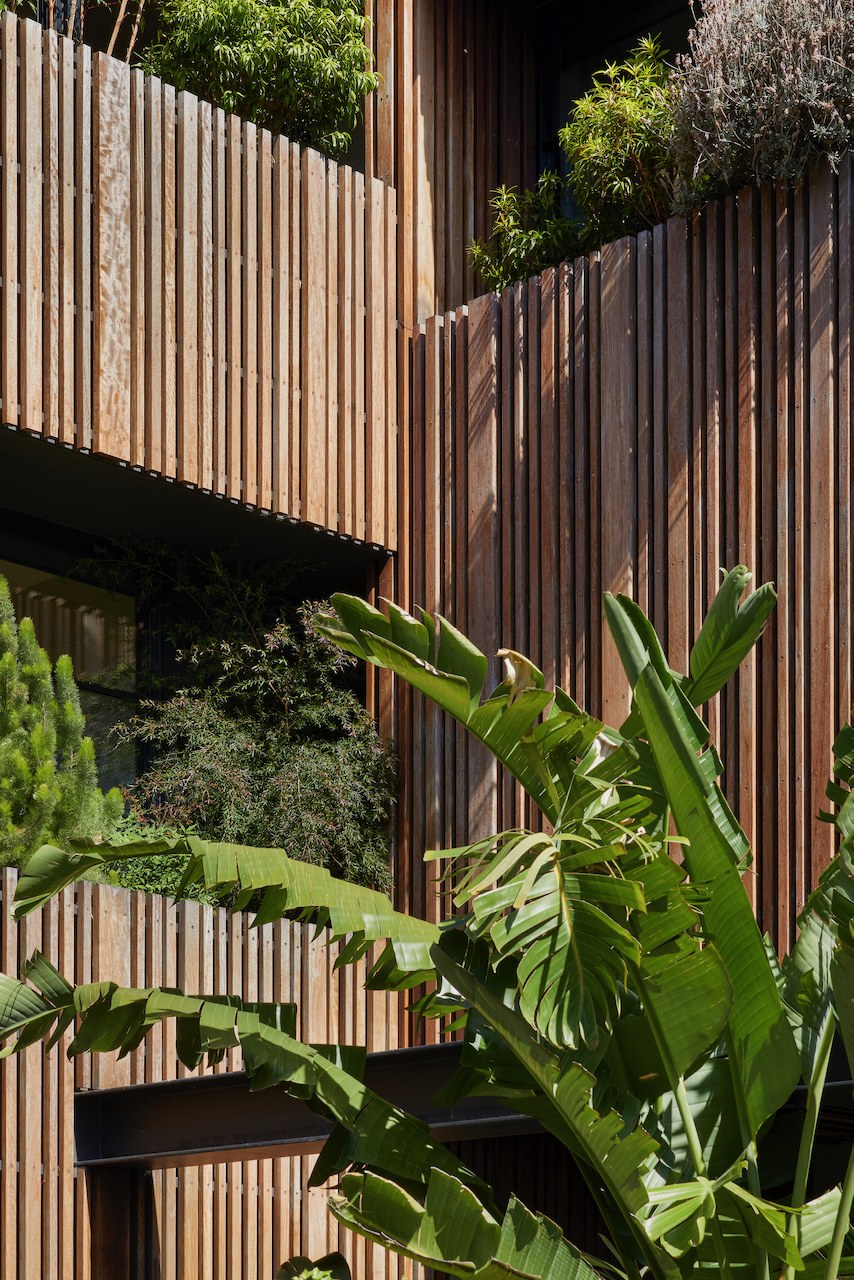 Lanes End timber-batten facade with planted courtyard