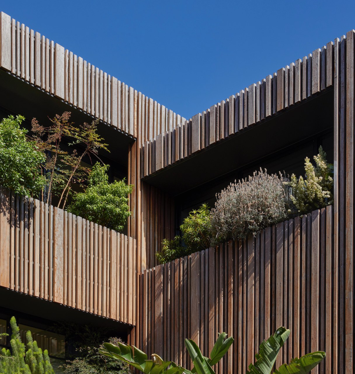 Lanes End timber-batten facade with planter boxes