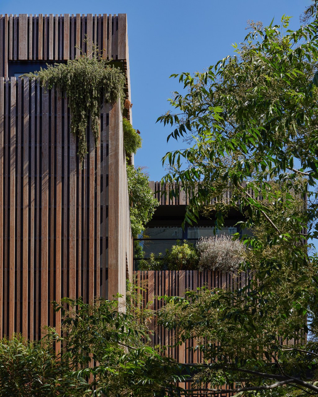 Lanes End timber-batten facade against the sky