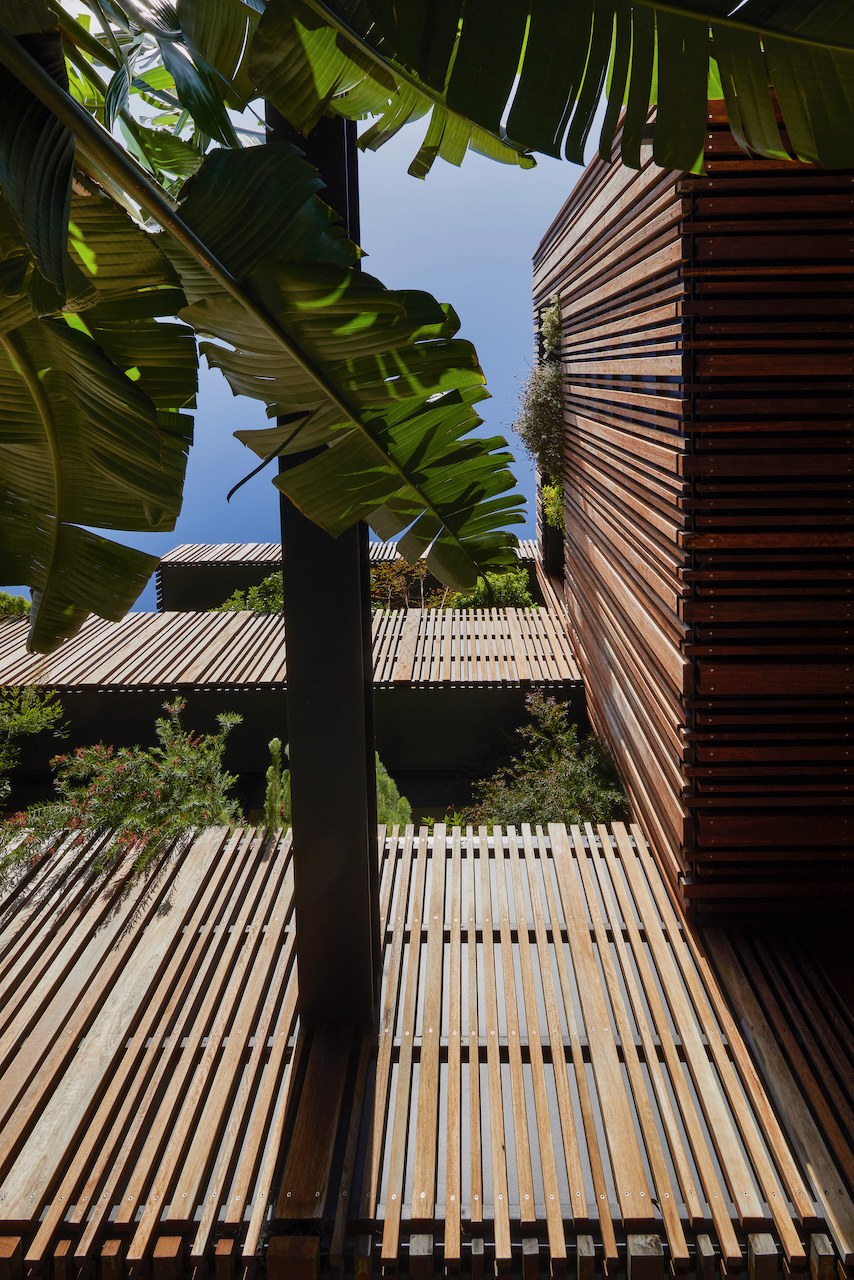 Lanes End timber deck steps with planting